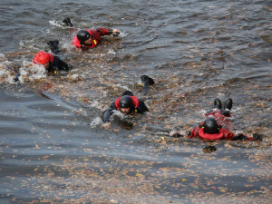 FOTOGALERIE: Společný výcvik českých a německých policistů