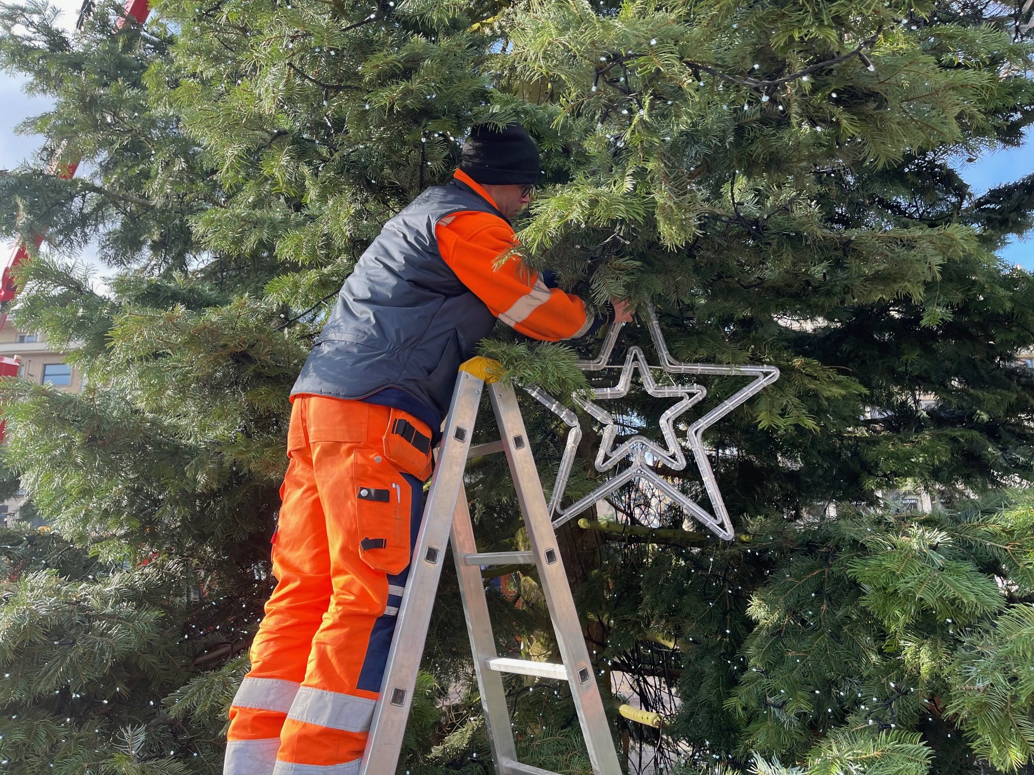 FOTOGALERIE: Zdobení vánočního stromu 2021