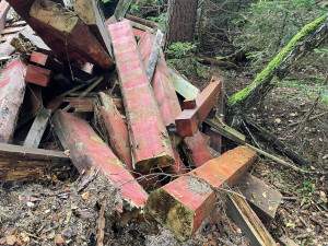 FOTOGALERIE: Černá skládka srdci v NP Šumava