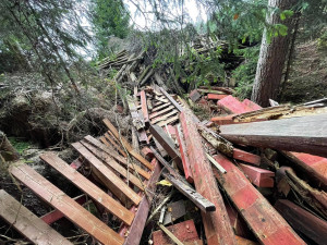FOTOGALERIE: Černá skládka srdci v NP Šumava