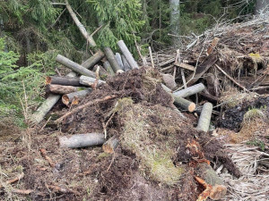 FOTOGALERIE: Černá skládka srdci v NP Šumava