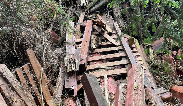 FOTOGALERIE: Černá skládka srdci v NP Šumava