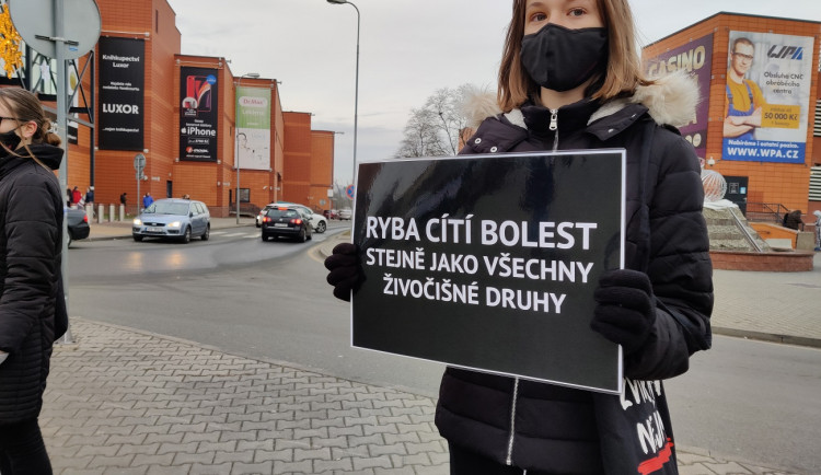 FOTOGALERIE: Tichá ulička za kapry