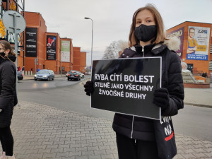 FOTOGALERIE: Tichá ulička za kapry