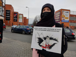 FOTOGALERIE: Tichá ulička za kapry