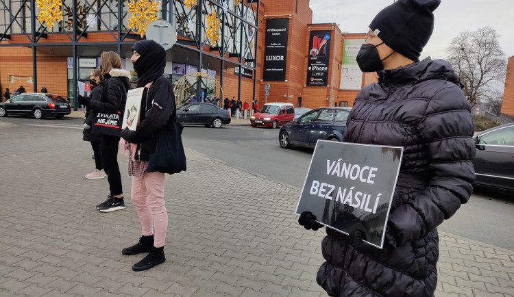 FOTOGALERIE: Tichá ulička za kapry