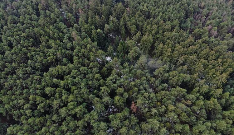 FOTOGALERIE: Dron pátral po ztraceném Diegovi