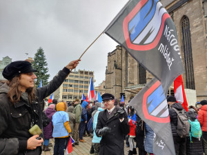 FOTOGALERIE: Demonstrace proti povinnému očkování