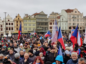 FOTOGALERIE: Demonstrace proti povinnému očkování