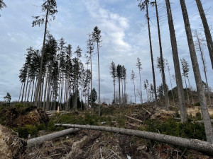 FOTOGALERIE: Polomy na jižním Plzeňsku