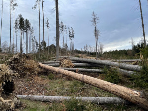 FOTOGALERIE: Polomy na jižním Plzeňsku