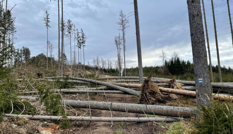 FOTOGALERIE: Polomy na jižním Plzeňsku