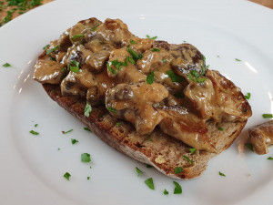 FOTOGALERIE: Šumavská houbička