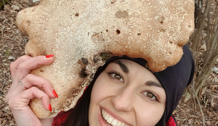 FOTOGALERIE: Šumavská houbička