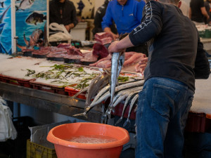 FOTOGALERIE: Expedice Z101