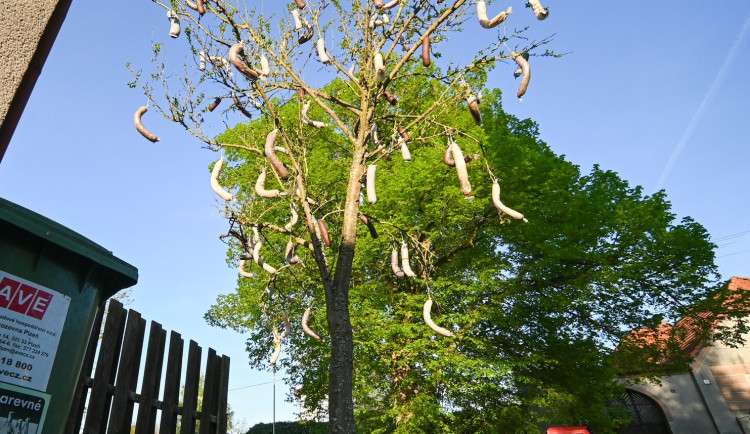 Rok 2025, foto: Radek Přibyl