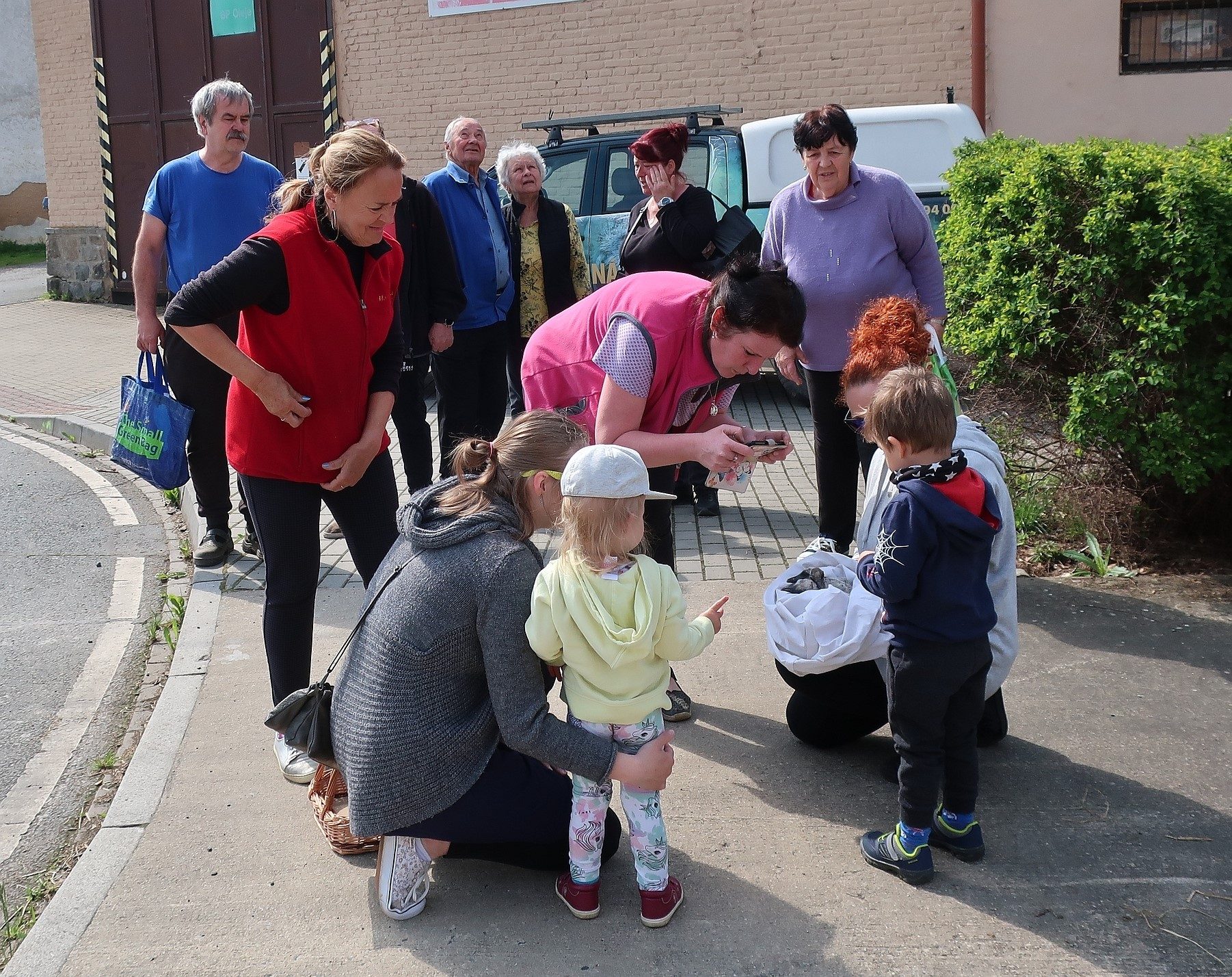FOTOGALERIE: Záchrana čapích mláďat