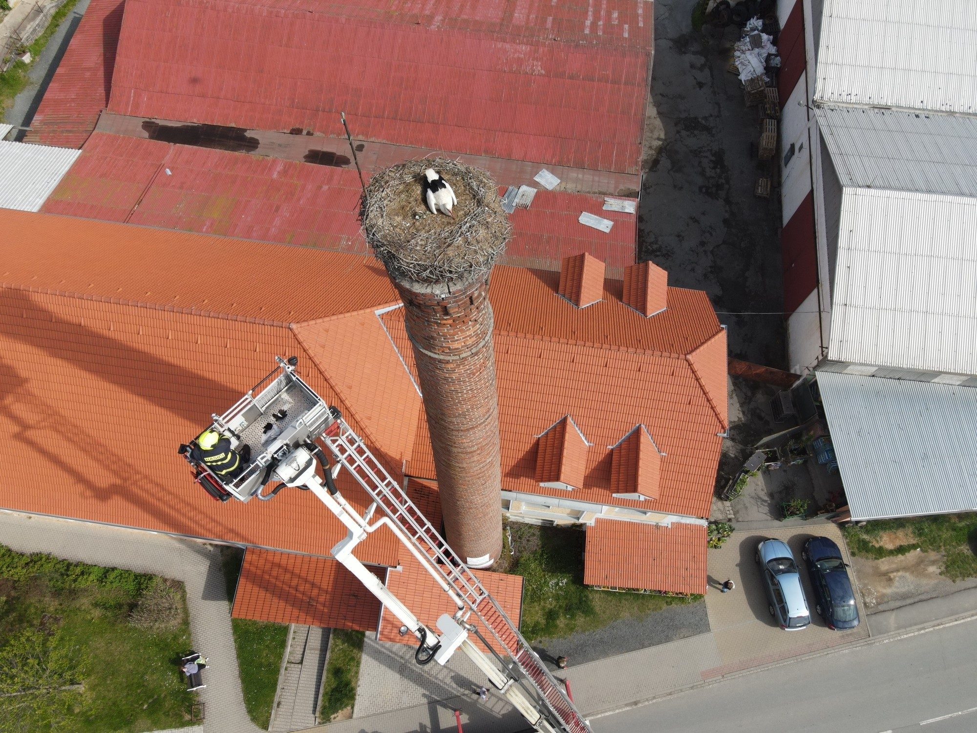 FOTOGALERIE: Záchrana čapích mláďat