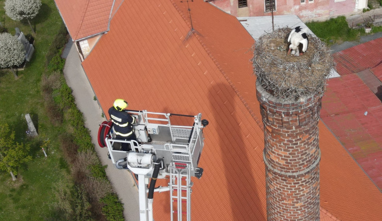FOTOGALERIE: Záchrana čapích mláďat