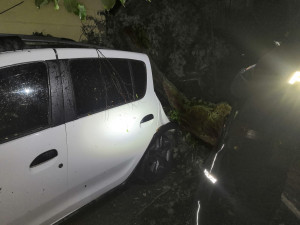 foto: Hasiči města Dobřany