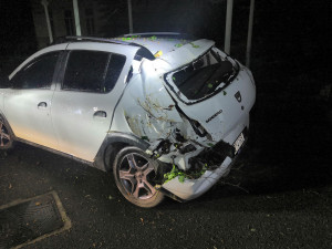 foto: Hasiči města Dobřany