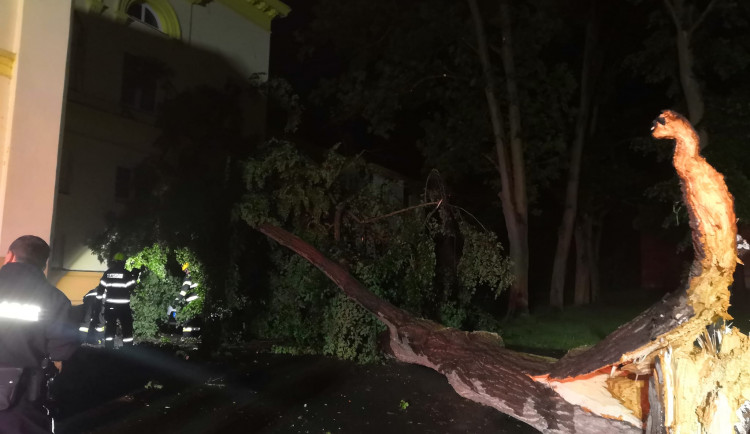 foto: Hasiči města Dobřany