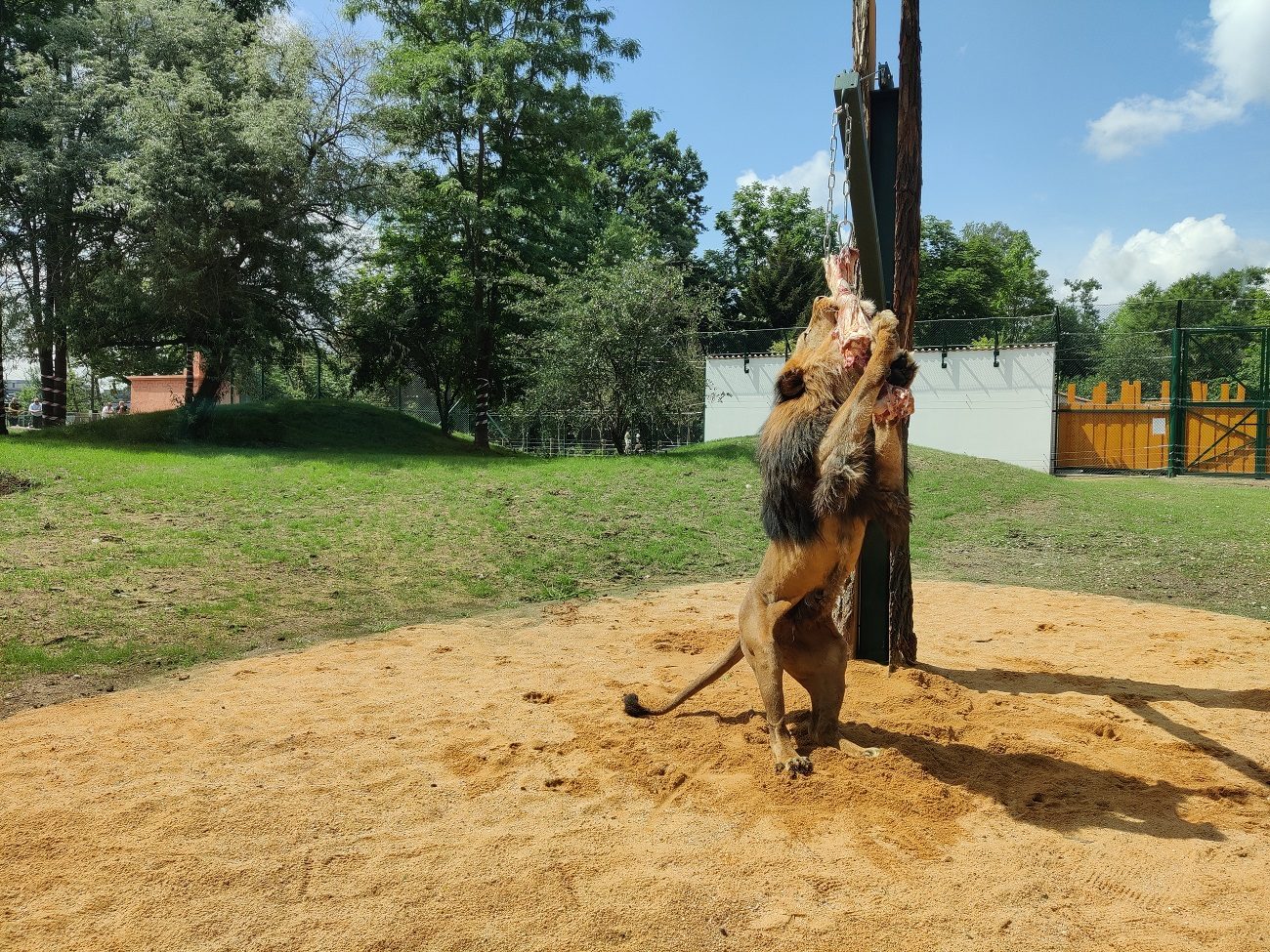 Foto: Plzeňská Drbna