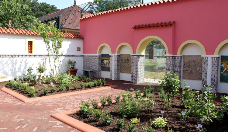 Foto:  Kateřina Misíková