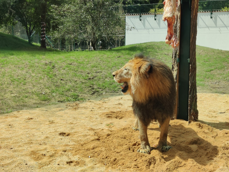 Foto: Plzeňská Drbna