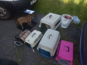 FOTOGALERIE: Kauza Nemanice