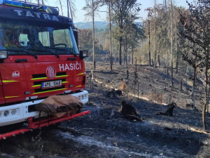 Hasiči Sušice: Hasiči z Plzeňského kraje pomáhají v Hřensku