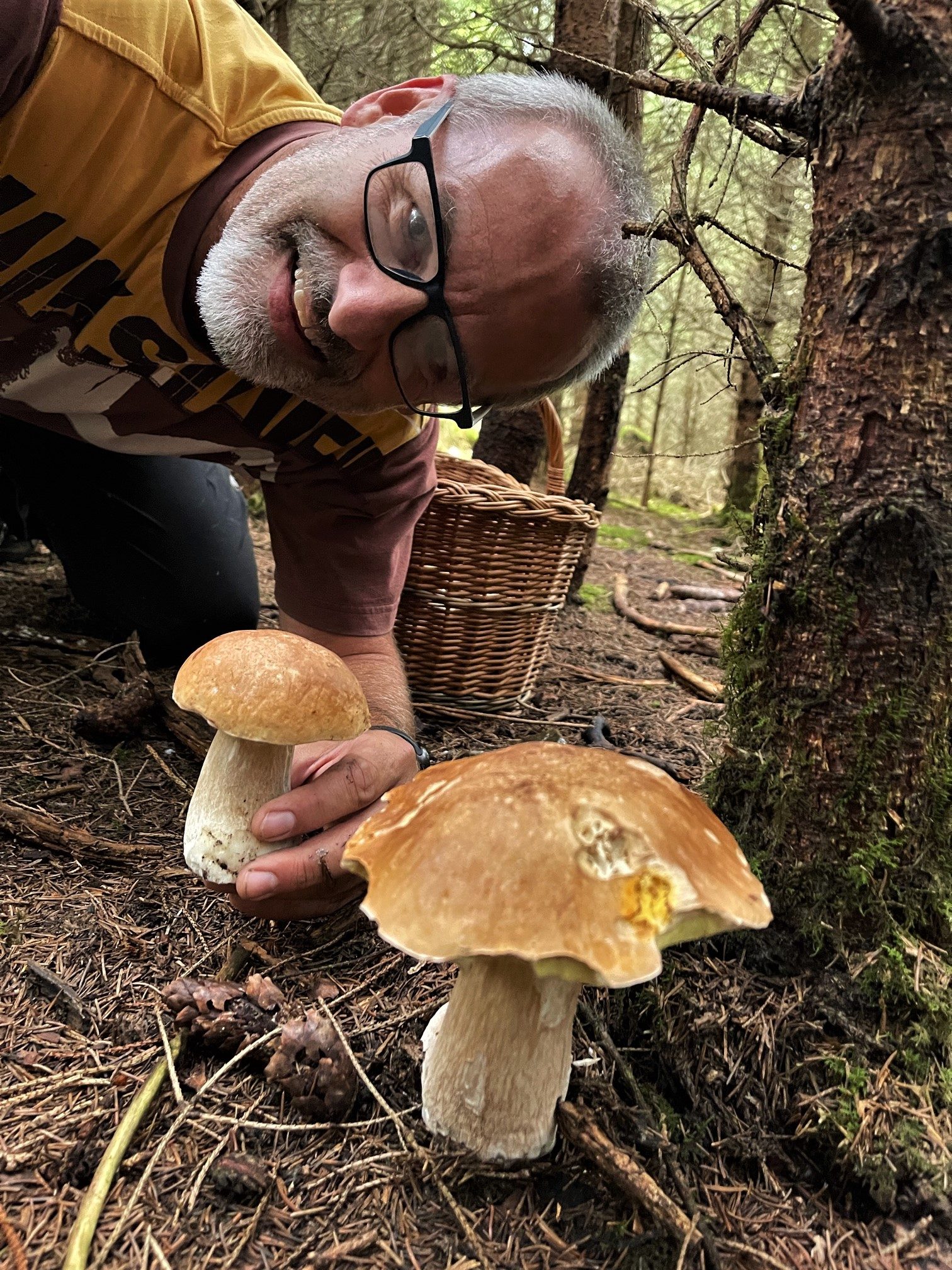 FOTOGALERIE: Redaktor Plzeňské Drbny na houbách
