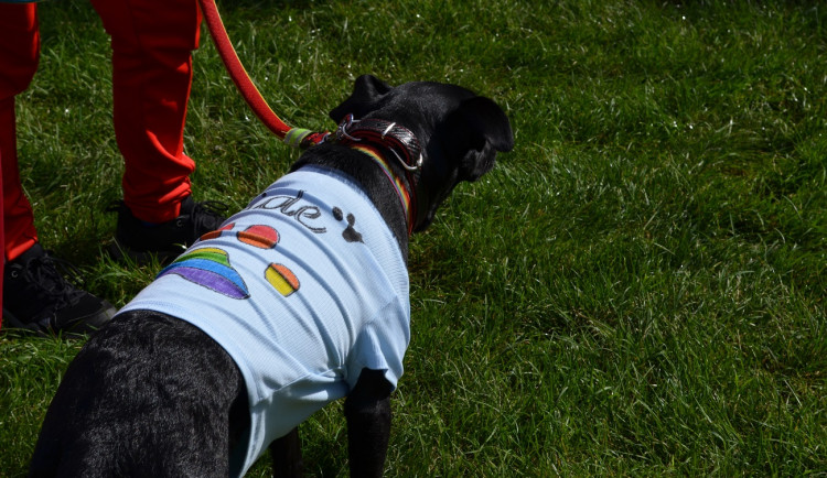 FOTOGALERIE: Pilsen Pride 2022
