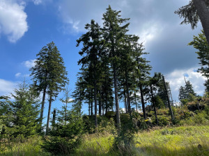 FOTOGALERIE: Výlet na Schwarzeck