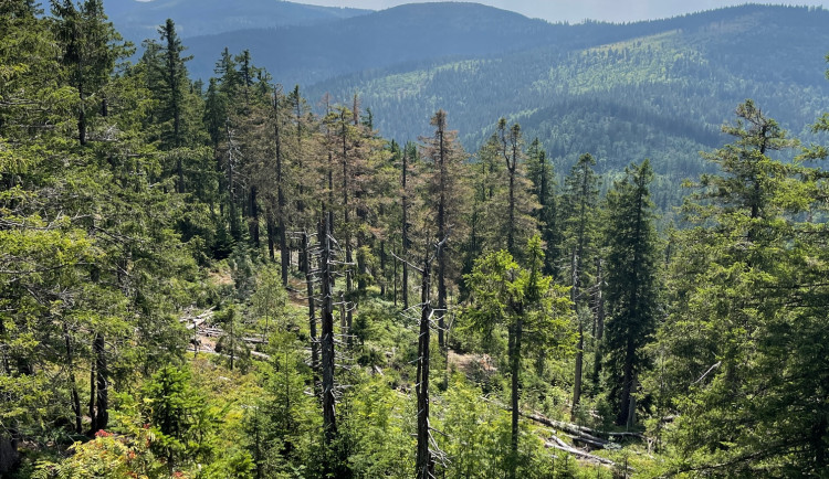FOTOGALERIE: Výlet na Schwarzeck
