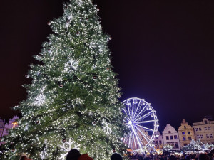 FOTOGALERIE: Vánoční strom a vánoční tramvaj 2022