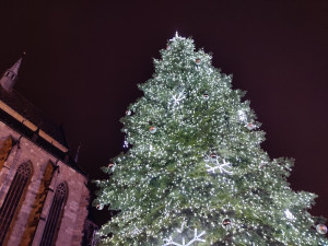 FOTOGALERIE: Vánoční strom a vánoční tramvaj 2022