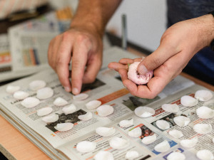 FOTOGALERIE: Veronika s Petrem tvoří úžasné obrazy z lisovaných květin