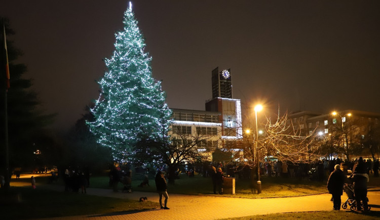 FOTOGALERIE: Který obvod má nejkrásnější vánoční strom?