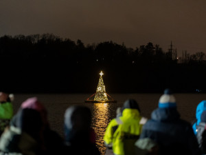 MO Plzeň 3, plující strom na Borské přehradě, foto: MO Plzeň 3