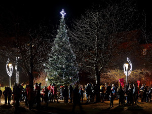 MO Plzeň 4, Habrmannův park, foto: MO Plzeň 4