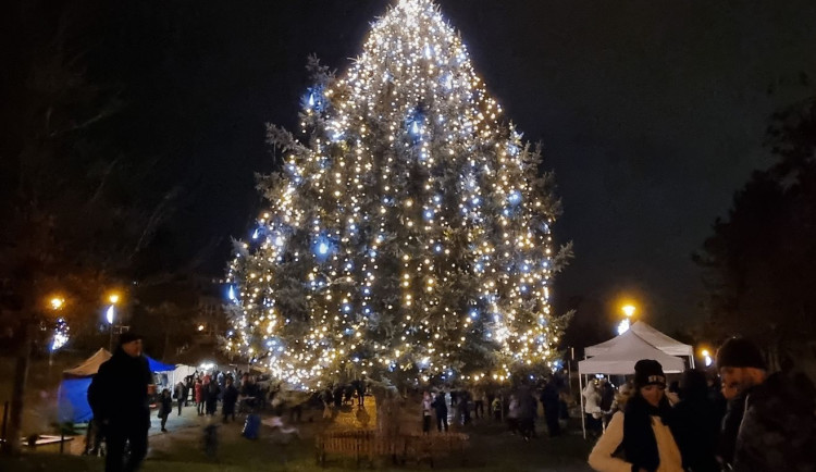 MO Plzeň 1, parku U Bazénu na Lochotíně, foto: MO Plzeň 1