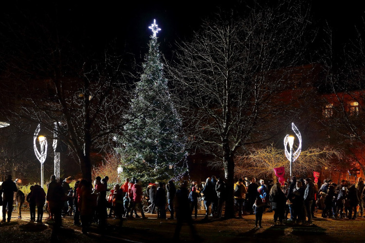 MO Plzeň 4, Habrmannův park, foto: MO Plzeň 4