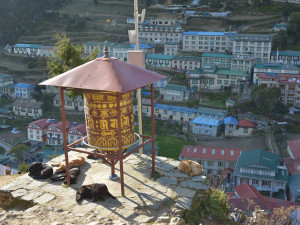 FOTOGALERIE: SAMA V NEPÁLU: Himalájská facka a aklimatizační den v Namche