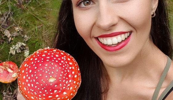 FOTOGALERIE: Šumavská houbička