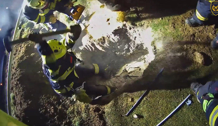 FOTOGALERIE: Záchrana fenky Kiry