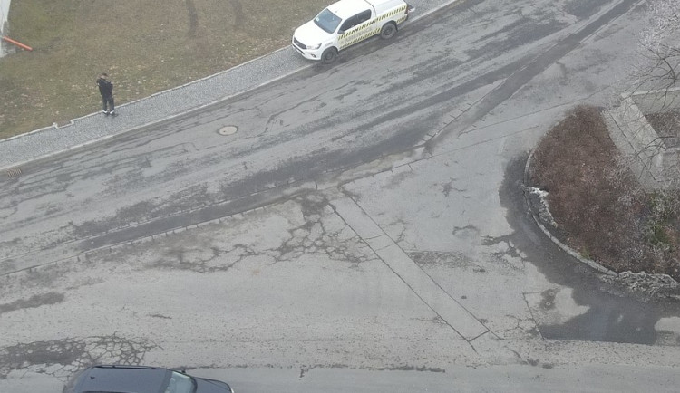 FOTOGALERIE: Instalace nového čapího hnízda v Dešenicích