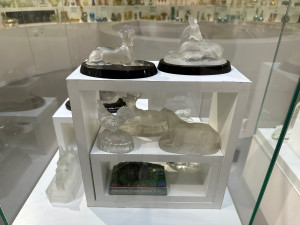 FOTOGALERIE: Těžítka pestré krásy