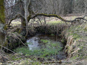 FOTOGALERIE: Pustina 2023