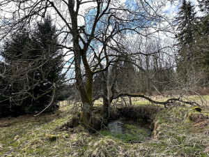 FOTOGALERIE: Pustina 2023